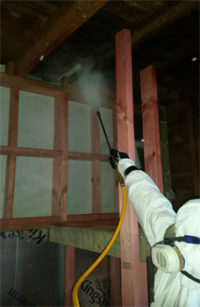ecosan-pest-control-borer-auckland-200×307 Spraying a house to control borer