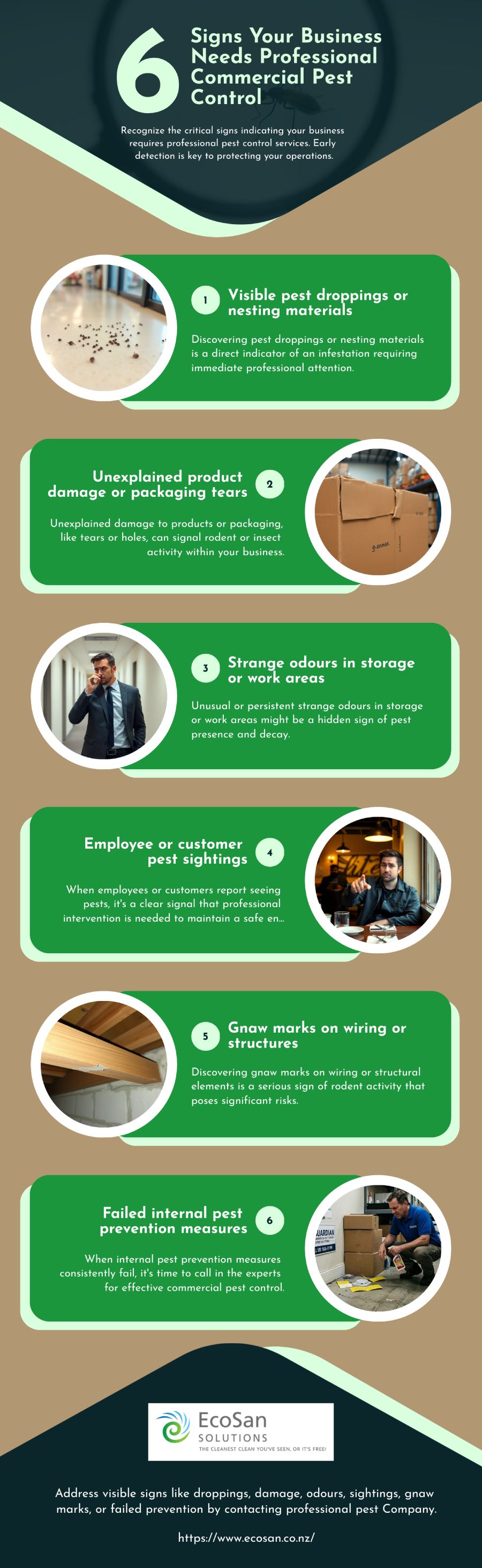 6 Signs Your Business Needs Professional Commercial Pest Control