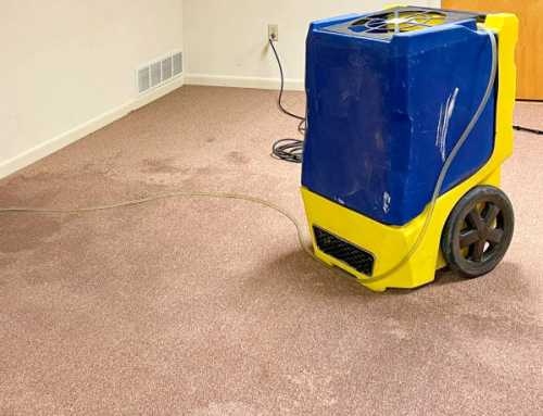 How Dehumidifier Rental Auckland Helps You Restore the Space Faster and Safer